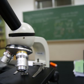 ¡El laboratorio en marcha!