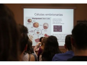 SLD_salida_terapia_celular_01