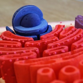 Unistem cell 2014: Jornada de terapia Celular